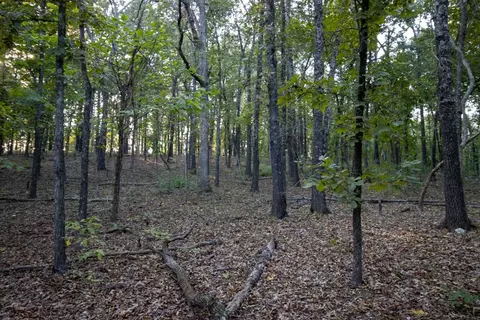 0000 Mcfarr Trl, Ravenden, AR 72459 photo 32