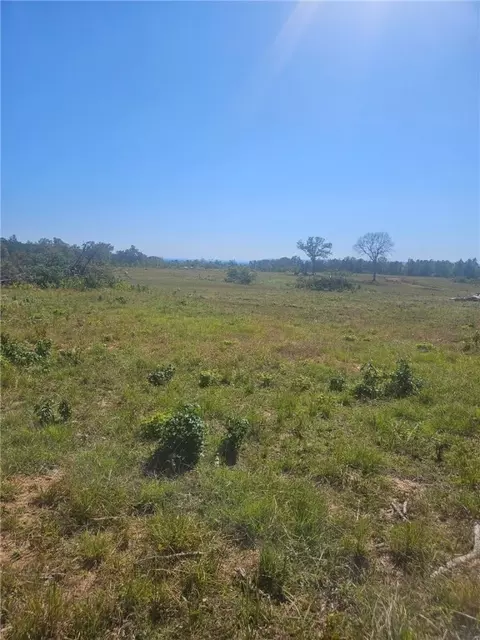 1520 Hartwick Ln, Atkins, AR 72823