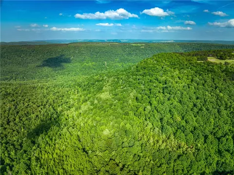 Off Of 16 Highway, Witts Springs, AR 72686
