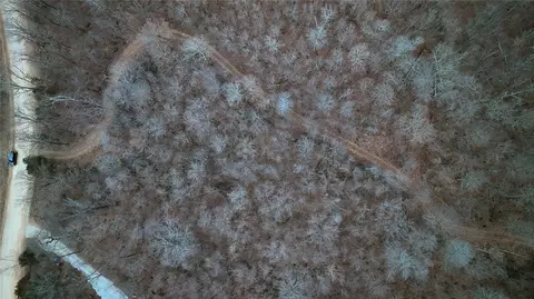 Madison 3175, Witter, AR 72776 photo 19