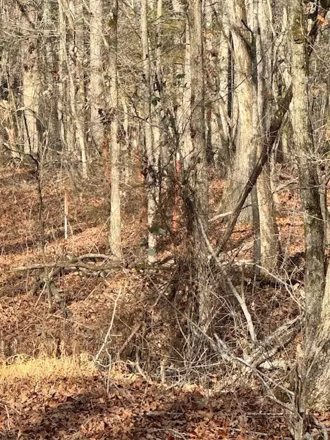 Madison 3175, Witter, AR 72776 photo 7
