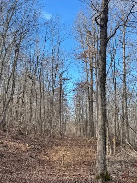 Madison 3175, Witter, AR 72776 photo 6
