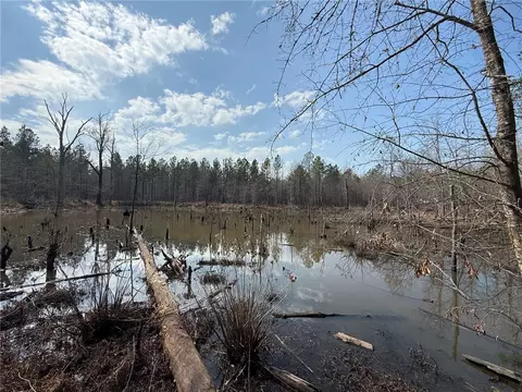 Ar Hwy 314, Plainview, AR 72857 photo 3