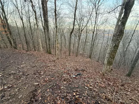 Other - 1613 Moonhull Rd, Oark, AR 72852 photo 13 of 25