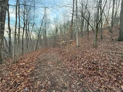 Other - 1613 Moonhull Rd, Oark, AR 72852 photo 17 of 25