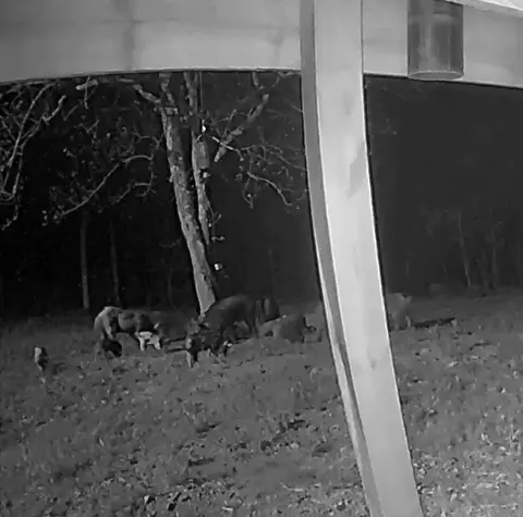 Other - 1613 Moonhull Rd, Oark, AR 72852 photo 23 of 25