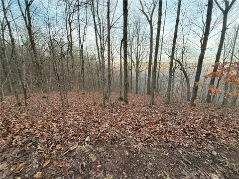 Other - 1613 Moonhull Rd, Oark, AR 72852 photo 16 of 25