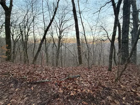 View/Area - 1613 Moonhull Rd, Oark, AR 72852 photo 2 of 2