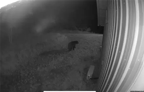 Other - 1613 Moonhull Rd, Oark, AR 72852 photo 22 of 25