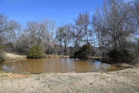 1600 Eclipse Rd, Saint Joe, AR 72675 photo 5