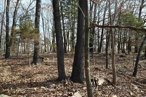 1600 Eclipse Rd, Saint Joe, AR 72675 photo 8