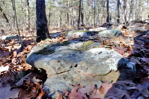 Dunkard Road, Harrison, AR 72601 photo 32