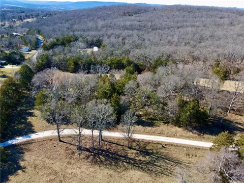 Dunkard Road, Harrison, AR 72601 photo 42