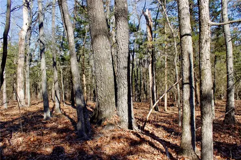 Dunkard Road, Harrison, AR 72601 photo 31