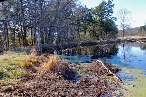 Dunkard Road, Harrison, AR 72601 photo 3
