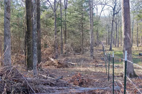 Dunkard Road, Harrison, AR 72601 photo 24