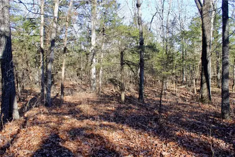 Dunkard Road, Harrison, AR 72601 photo 30