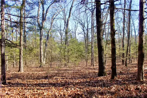 Dunkard Road, Harrison, AR 72601 photo 27