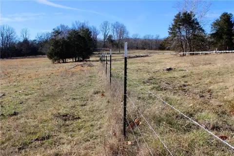 Dunkard Road, Harrison, AR 72601 photo 19
