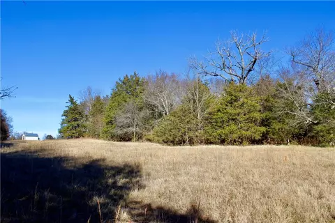 Dunkard Road, Harrison, AR 72601 photo 37