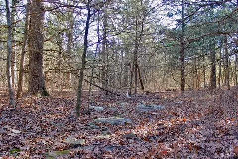 Dunkard Road, Harrison, AR 72601 photo 35
