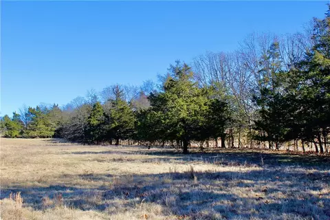 Dunkard Road, Harrison, AR 72601 photo 18