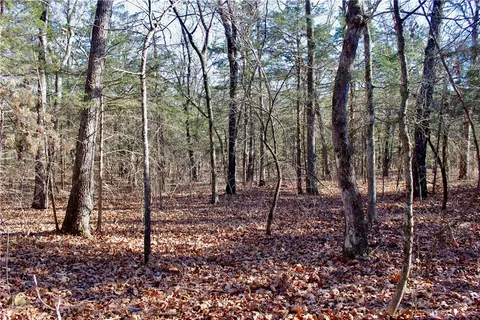 Dunkard Road, Harrison, AR 72601 photo 29