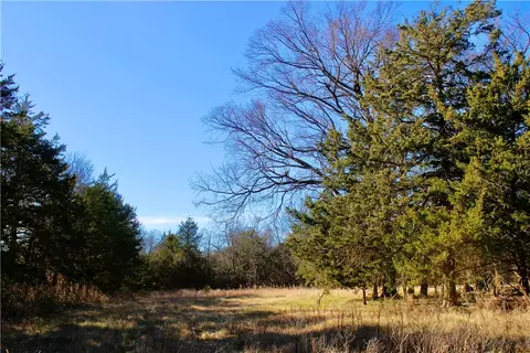 Dunkard Road, Harrison, AR 72601 photo 11