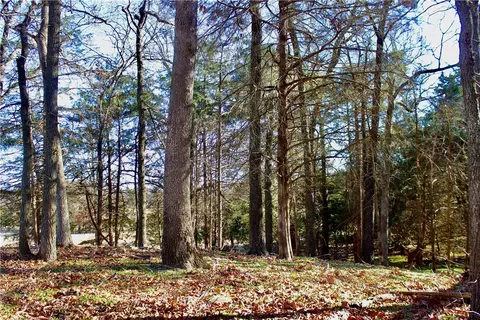 Dunkard Road, Harrison, AR 72601 photo 22