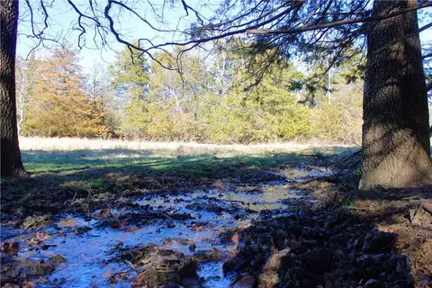 Dunkard Road, Harrison, AR 72601 photo 7