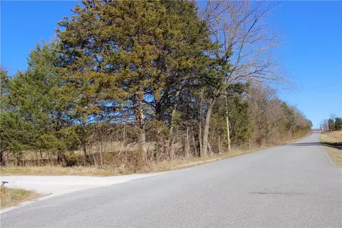 Dunkard Road, Harrison, AR 72601 photo 14