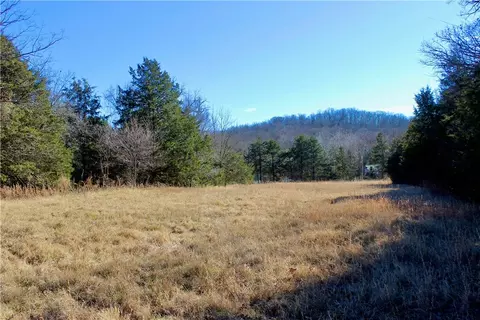 Dunkard Road, Harrison, AR 72601 photo 23