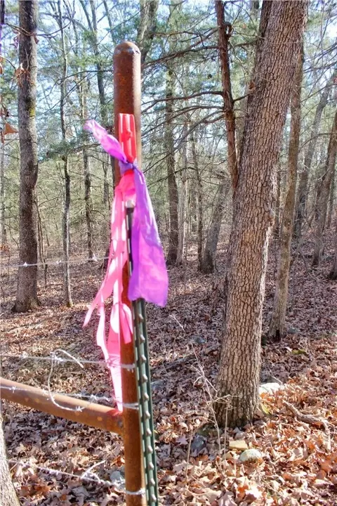 Dunkard Road, Harrison, AR 72601 photo 26