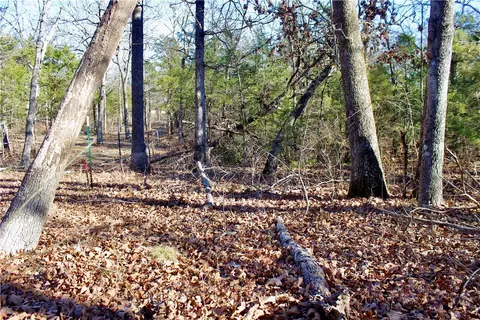 Dunkard Road, Harrison, AR 72601 photo 25
