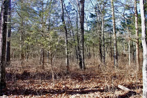 Dunkard Road, Harrison, AR 72601 photo 34