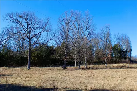 Dunkard Road, Harrison, AR 72601 photo 17