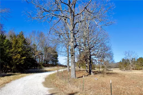Dunkard Road, Harrison, AR 72601 photo 12