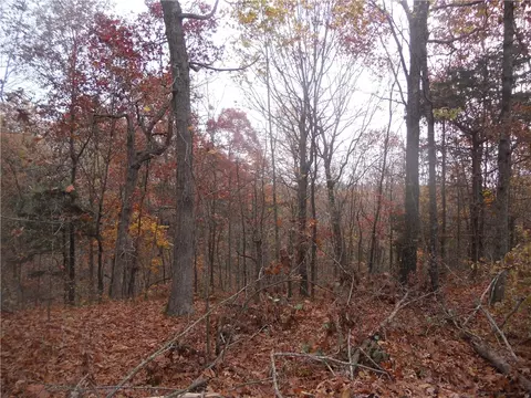 Nc 3510, Western Grove, AR 72685