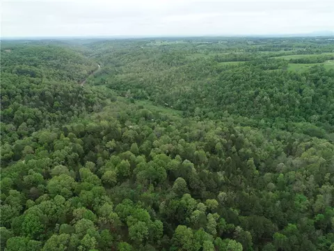 Twin Fork Drive, Harrison, AR 72601 photo 3