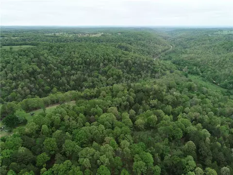 Twin Fork Drive, Harrison, AR 72601 photo 7