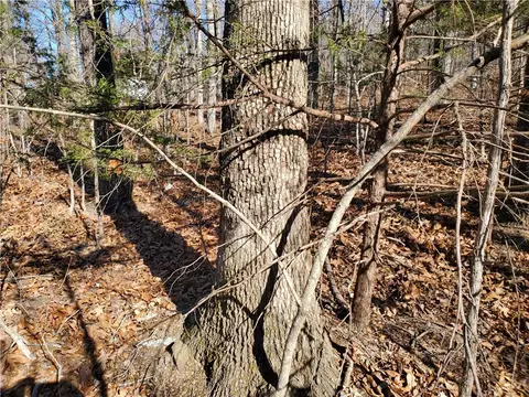 15776 Hwy 74 E Tract 1, Marshall, AR 72650 photo 5