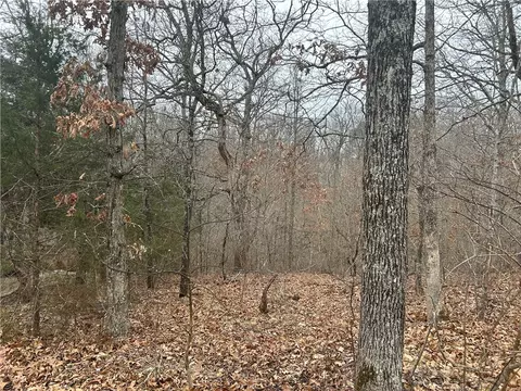 Delbeattie Lane, Bella Vista, AR 72715