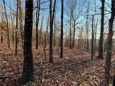 Prayer Mountain Drive, Harrison, AR 72601