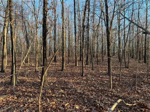 Prayer Mountain Drive, Harrison, AR 72601 photo 5