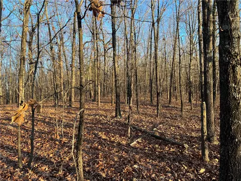 Prayer Mountain Drive, Harrison, AR 72601 photo 7