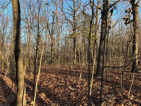 Prayer Mountain Drive, Harrison, AR 72601 photo 10