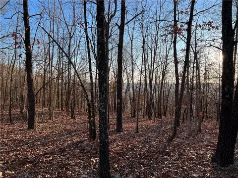 Prayer Mountain Drive, Harrison, AR 72601 photo 3