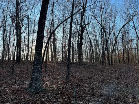 Prayer Mountain Drive, Harrison, AR 72601 photo 13
