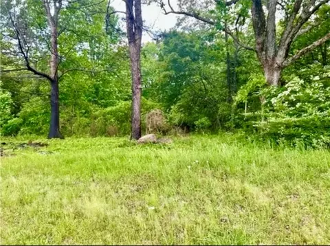 3983 Buck Mountain Rd, Dover, AR 72837 photo 3