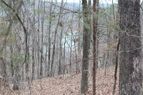 000 Old Brewer, Greers Ferry, AR 72044 photo 47